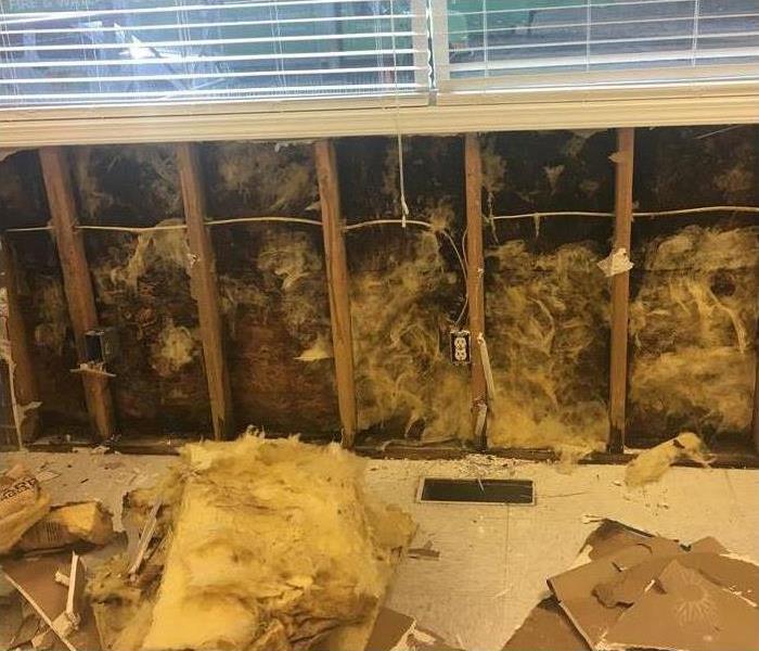 Inside of a drywall covered with mold